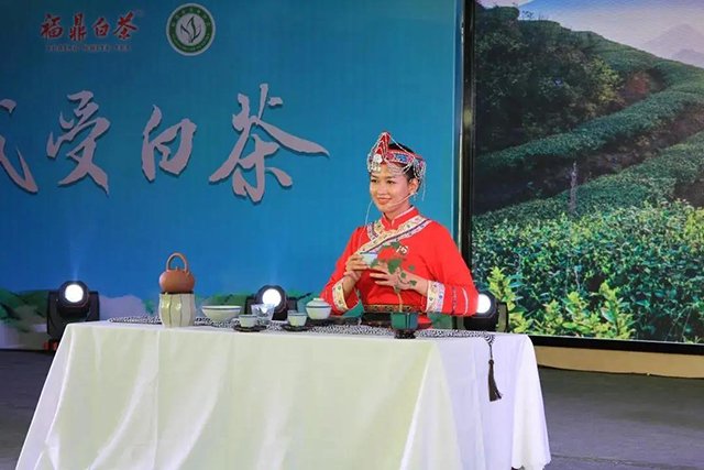 十大白茶仙子