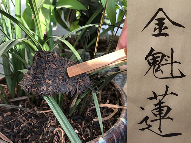 龑王牌红版金魁莲熟茶