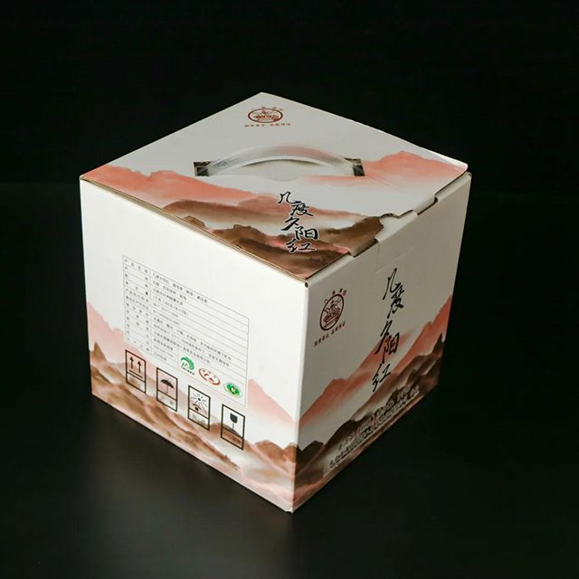 �˽�ͤ��輸��Ϧ����