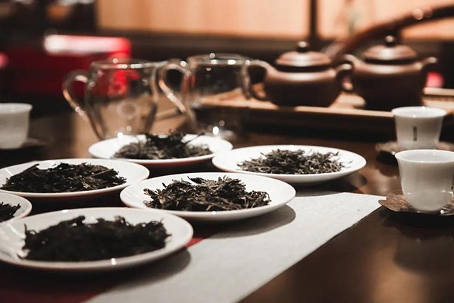 岁月知味西部茶博会