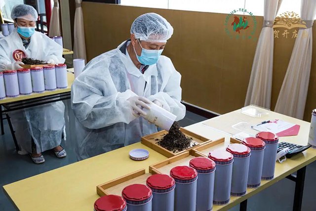 首届六大茶山拼配大赛