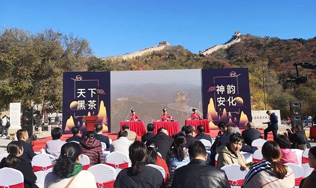 安化黑茶专题推介会