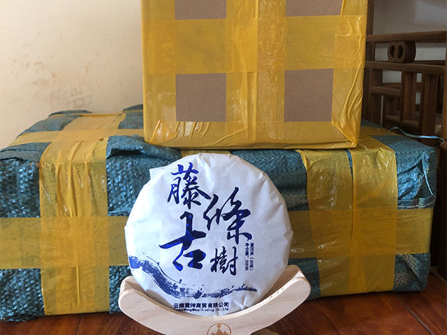 烫金蓝藤条古树茶
