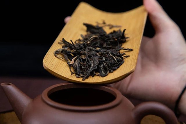 双陈紫润普洱茶
