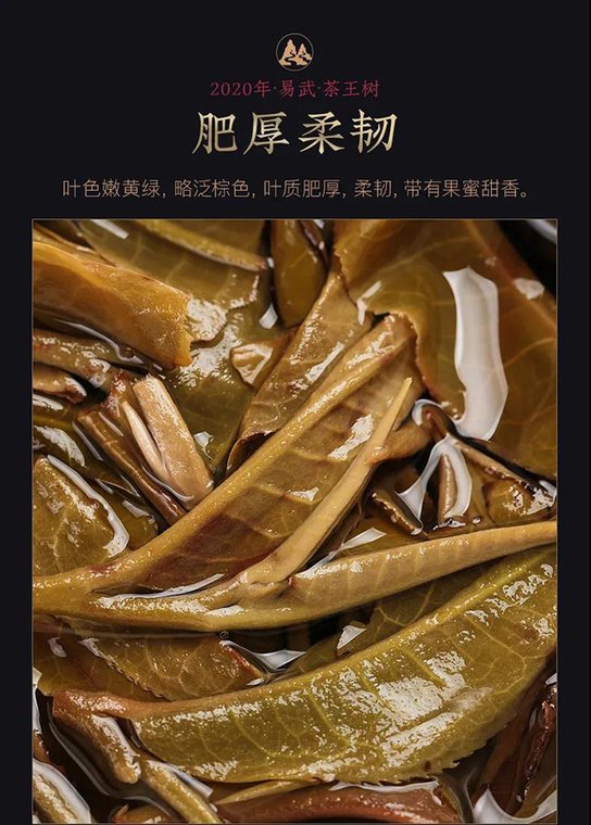 八角亭易武茶王树普洱茶