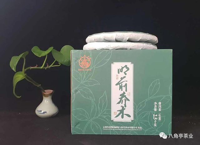 八角亭明前乔木普洱生茶