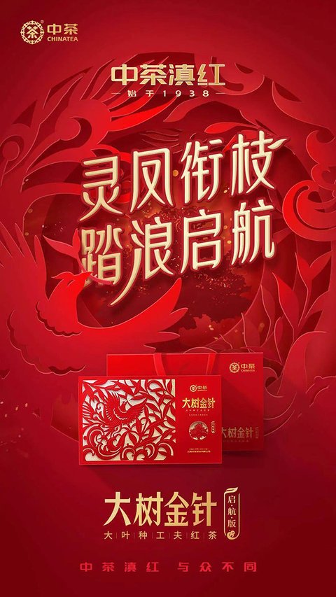 中茶滇红新品大树金针