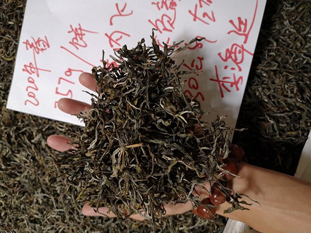 磨烈晒青茶不负韶华原料