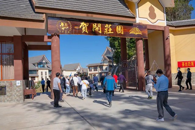 六大茶山贺开庄园