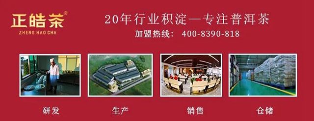正皓茶周年庆活动