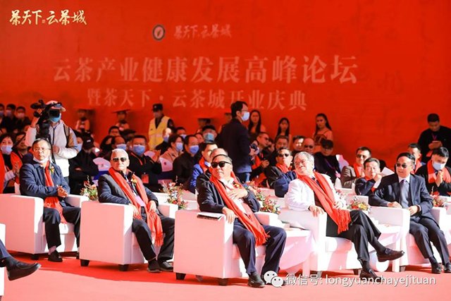 龙园茶业博物馆
