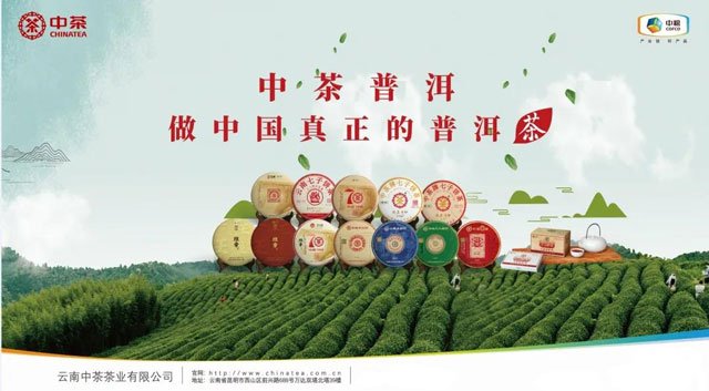 中茶普洱茶