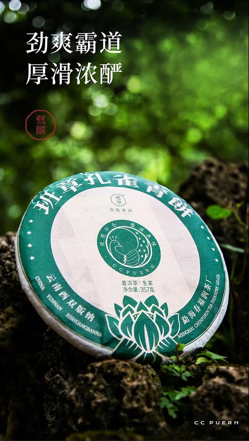 双陈普洱茶