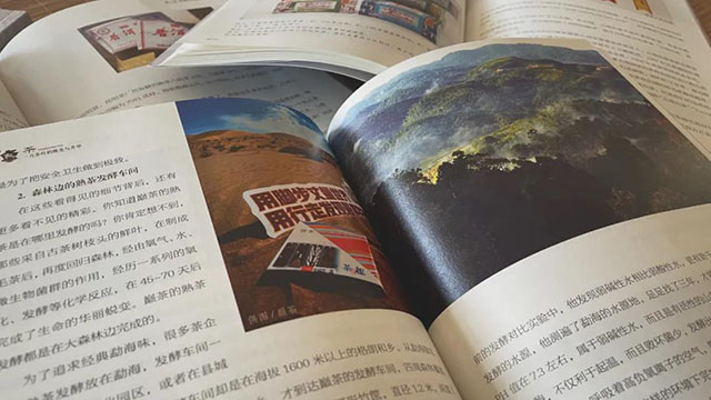 一片茶叶的蝶变与升华