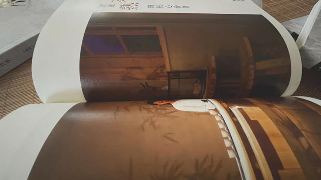 一片茶叶的蝶变与升华
