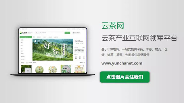 云茶网 云茶产业互联网时代开启,云茶网正式封测上线