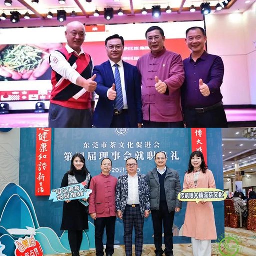 东莞市茶文化促进会