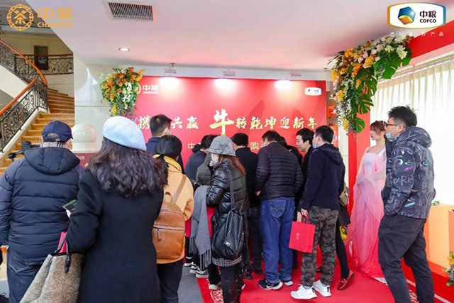 中茶翡翠白菜