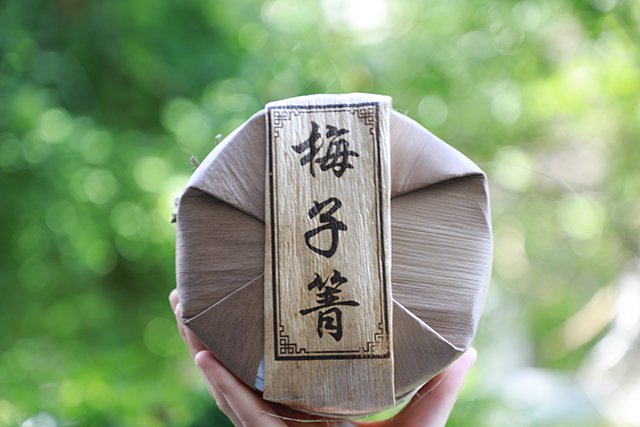 梅子箐普洱茶