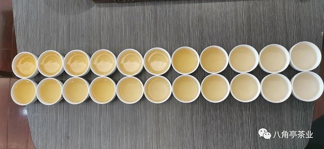 八角亭纪元普洱茶