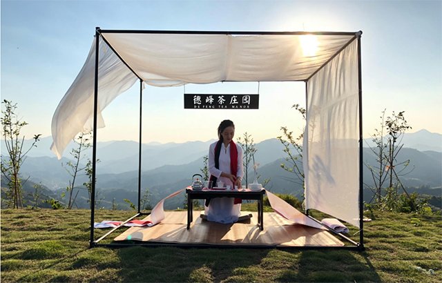 福建省安溪德峰茶业有限公司