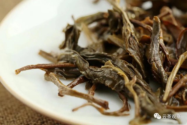 倚邦古树茶国有林森林茶