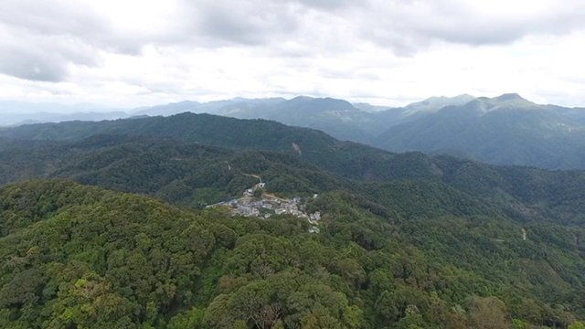 中吉号杨世华
