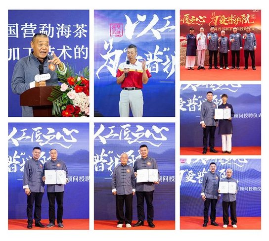 双陈普洱茶