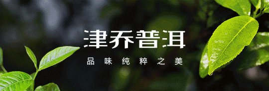 津乔普洱2020茶品