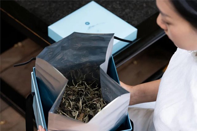 津乔普洱2020茶品津乔白茶半藏白皓叶