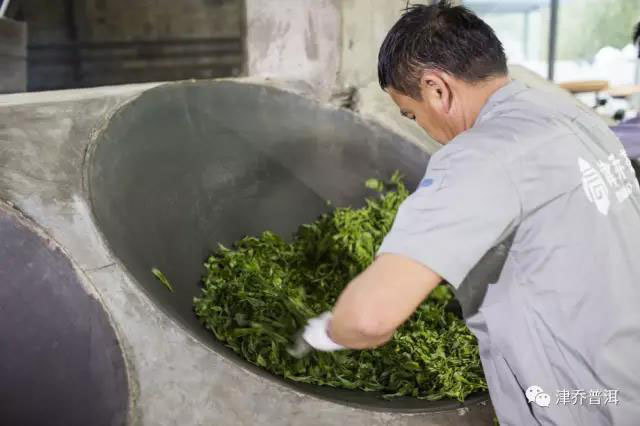 津乔普洱茶