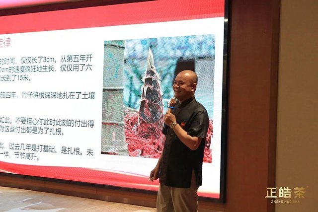 正皓茶周年庆