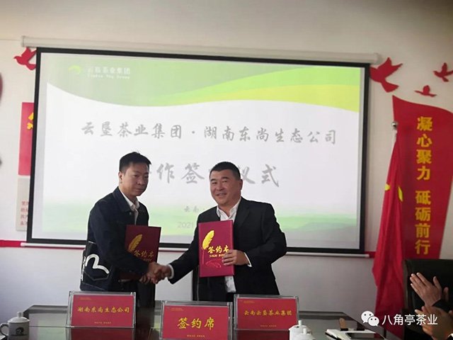 云垦茶业集团