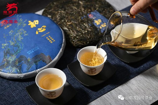 龙园号2021年新品初心普洱茶