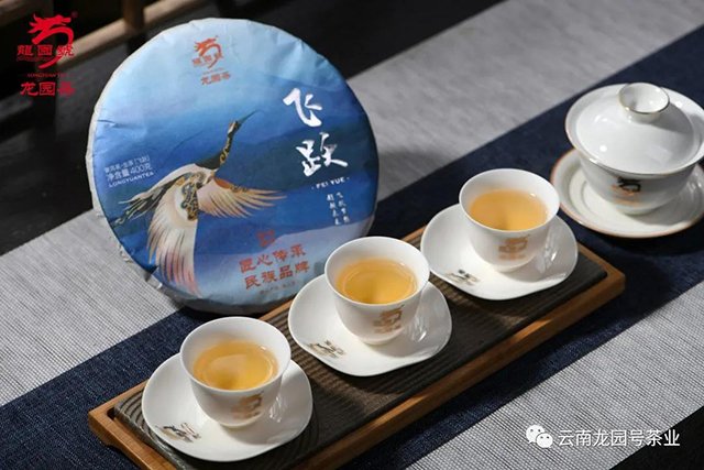 龙园号2021年新品飞跃普洱茶