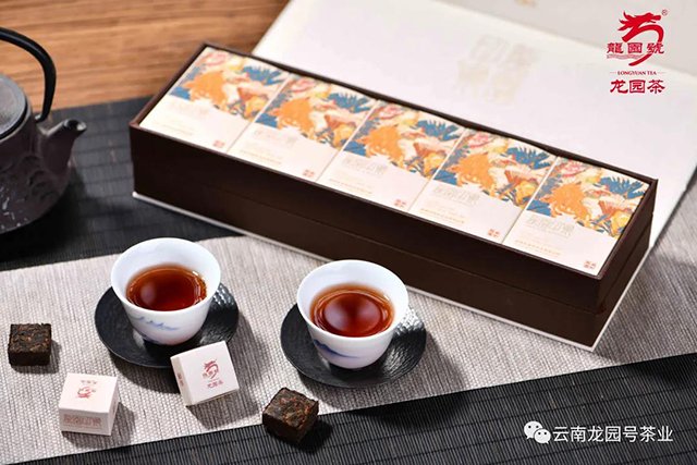 龙园号2021年新品龙园印象礼茶普洱茶