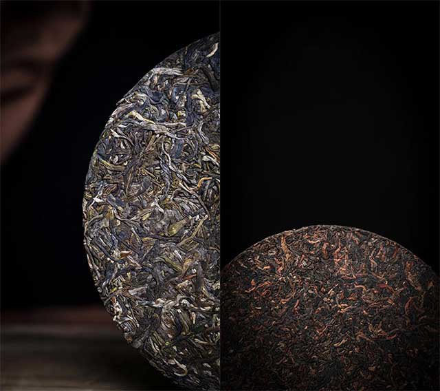 六大茶山新品万物生无尽藏普洱茶