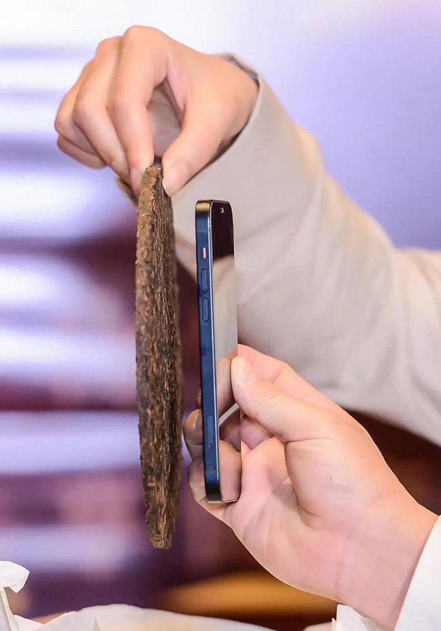 六大茶山新品万物生无尽藏普洱茶
