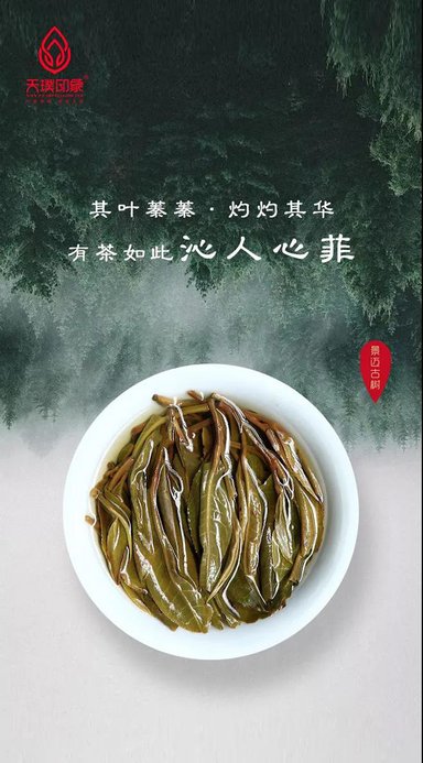 天璞印象天材地宝普洱茶