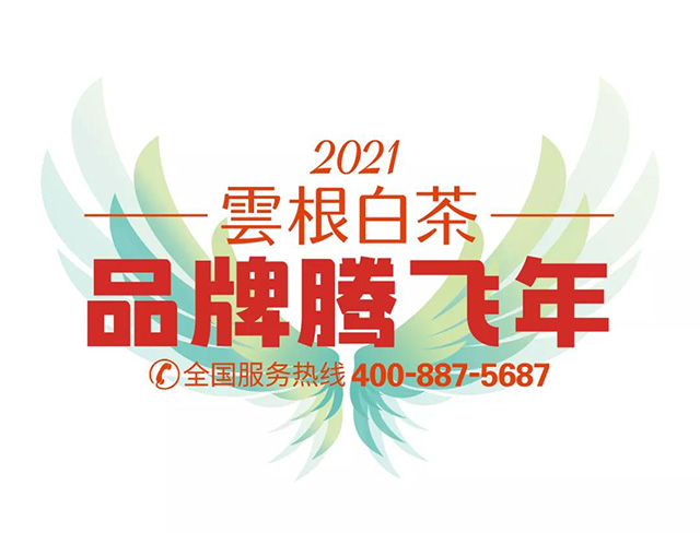 云根茶业白茶