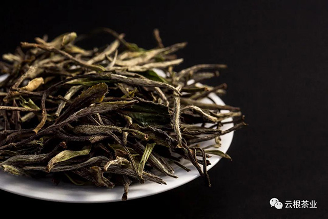 云根茶业水仙白白茶