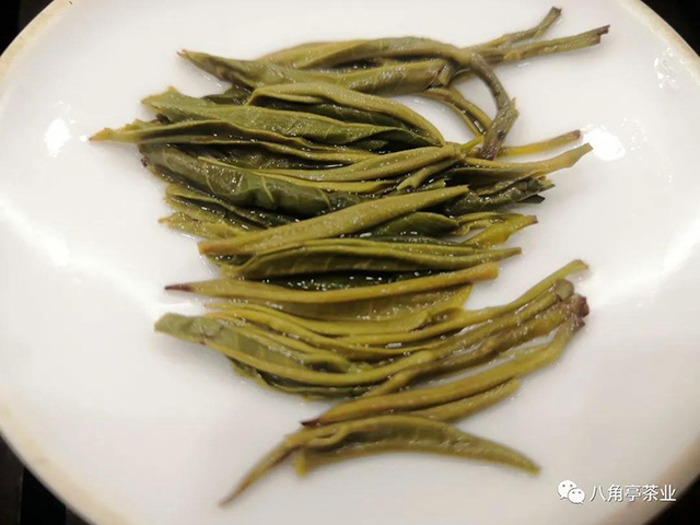 嘉木茶业早春三款绿茶