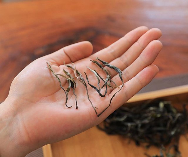 易武弯弓茶