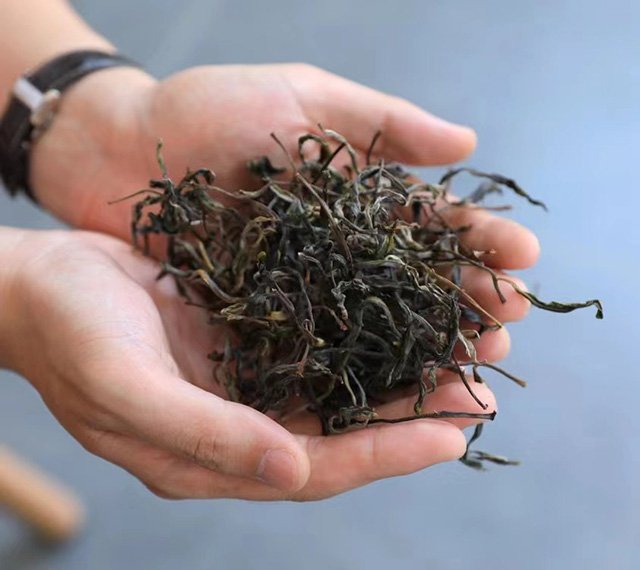易武弯弓茶