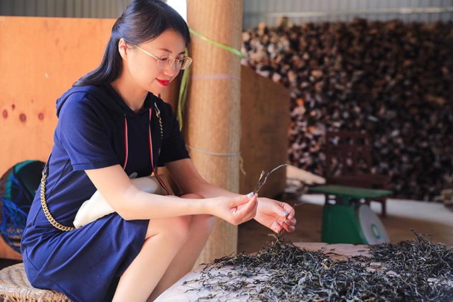 易武弯弓茶