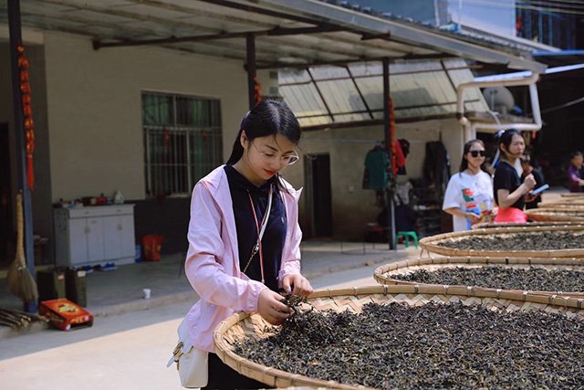 易武弯弓茶