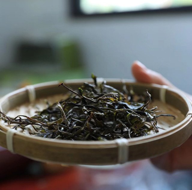 倚邦曼松