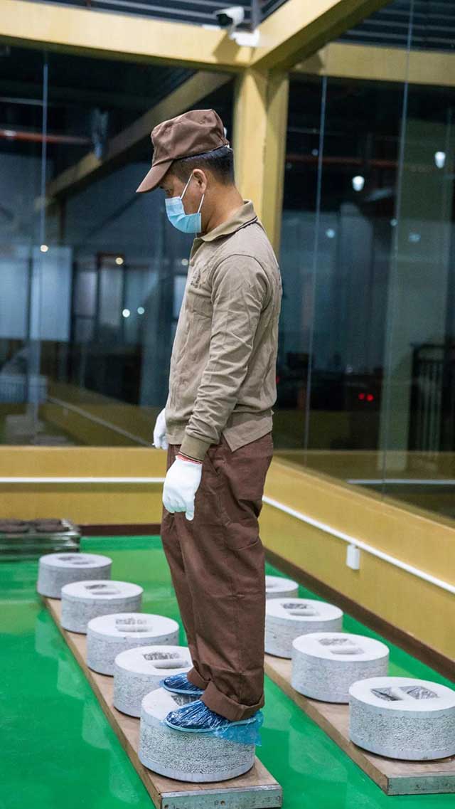 六大茶山2021年春茶季贺开万亩茶园开采