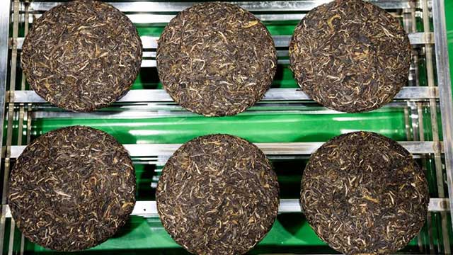 六大茶山2021年春茶季贺开万亩茶园开采