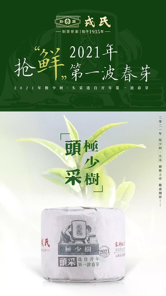 勐库戎氏极少树头采普洱茶